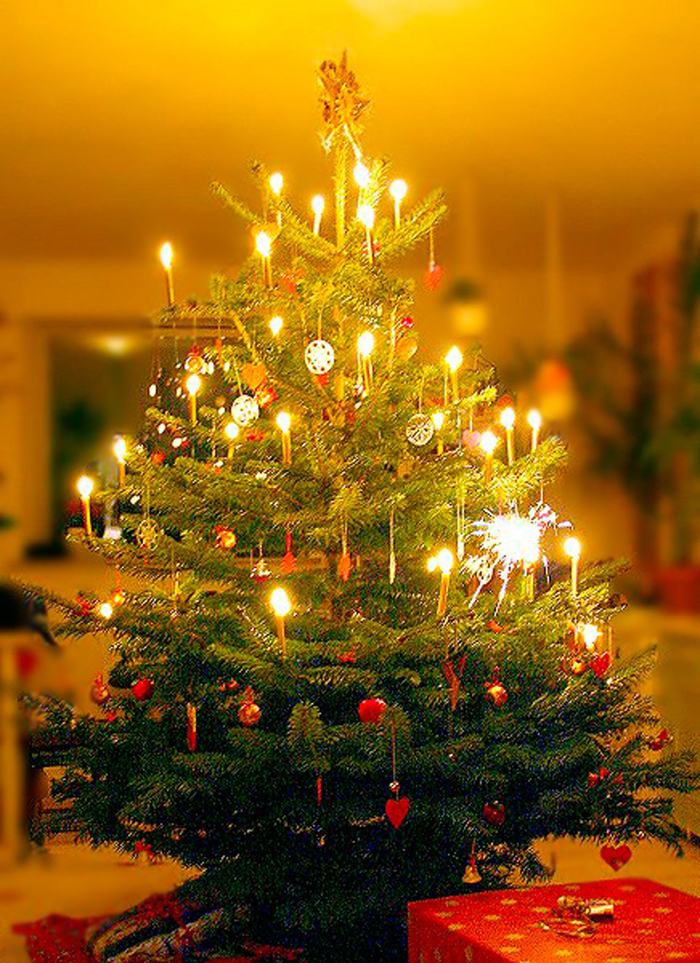Cây thông được trang trí trong dịp Lễ Giáng sinh 