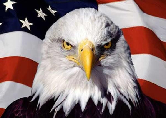 Đại bàng là biểu tượng của quốc huy Hoa Kỳ
