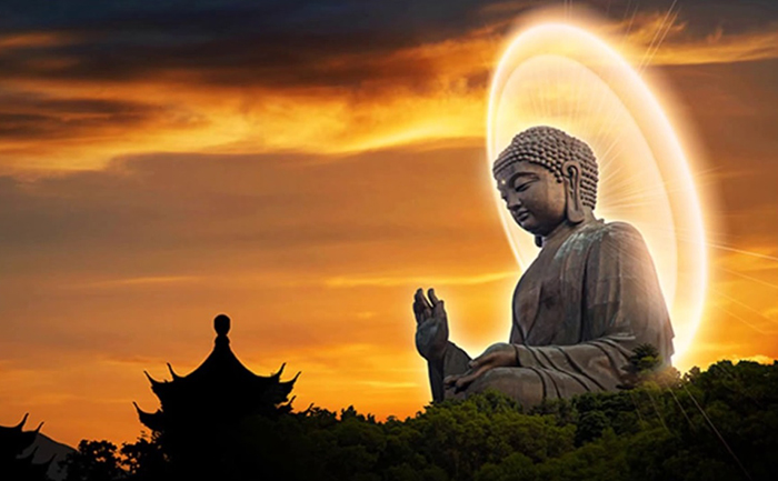Đức Phật khai thị; Phật Thích Ca Mâu Ni; nhân quả báo ứng tuần hoàn.
