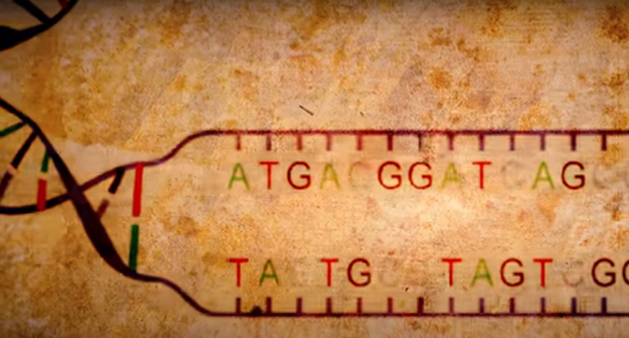 Nghiên cứu bản đồ gen người; Nhiễm sắc thể ở người; Nhiễm sắc thể là gì; Biến đổi gen ở thực vật; Biến đổi gen ở người; Biến đổi gen là gì
Biến đổi gen của con người; Biến đổi gen ở người là gì; Biến đổi gen ở con người; Biến đổi gen con người

