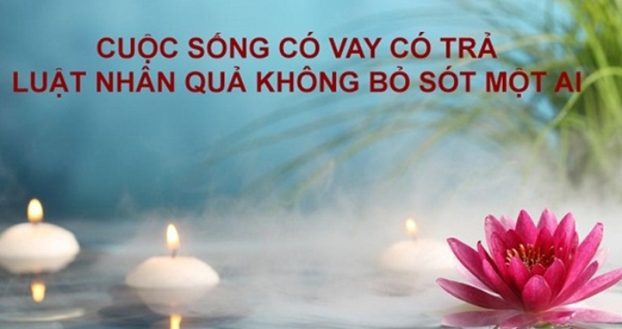 Hiểu được luật nhân quả mà tùy duyên hành sự