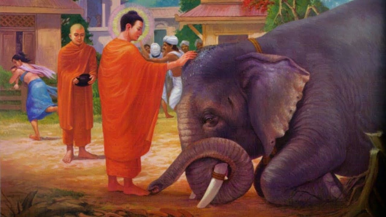 Theo sách sử ghi lại, Đức Phật Thích Ca Mâu Ni là bậc giáo chủ cõi Ta Bà. Ngài từng sống trên trái đất này và đã sáng lập ra Phật Giáo.