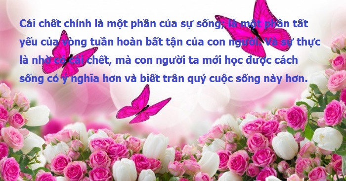 Nhờ có cái chết mà con người biết trân quý sự sống hơn