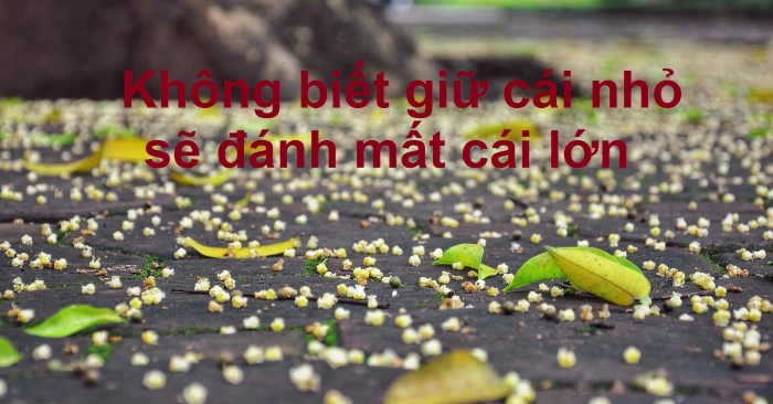 Không biết giữ cái nhỏ sẽ đánh mất cái lớn