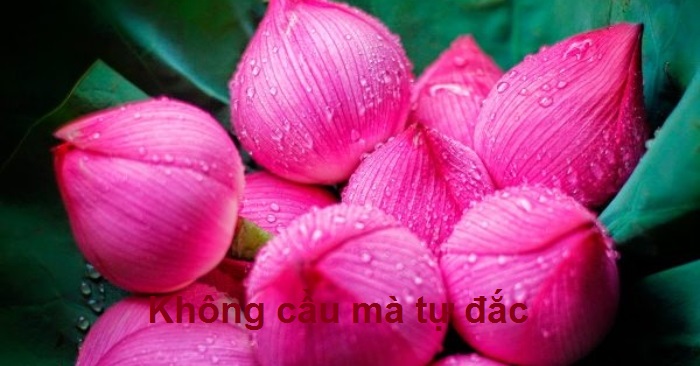 Người tính không bằng trời tính