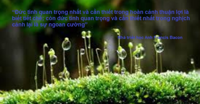 Người biết tiết chế bản thân mình là người được nhiều nhất