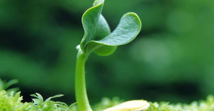 Âm đức là gì