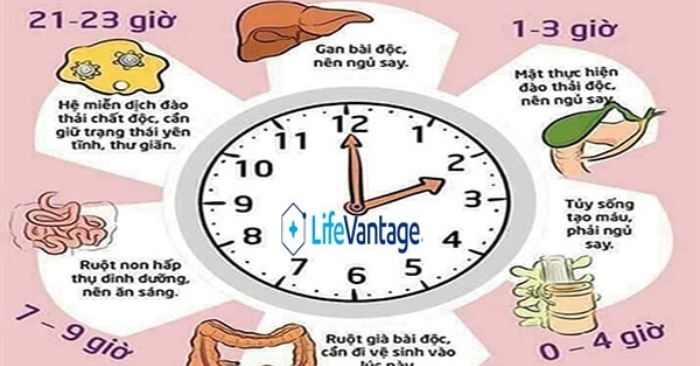 Các kinh tương ứng với các thời thần và chế độ dưỡng sinh