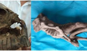 Mexico: phát hiện mới về xác ướp và hộp sọ của người ngoài hành tinh