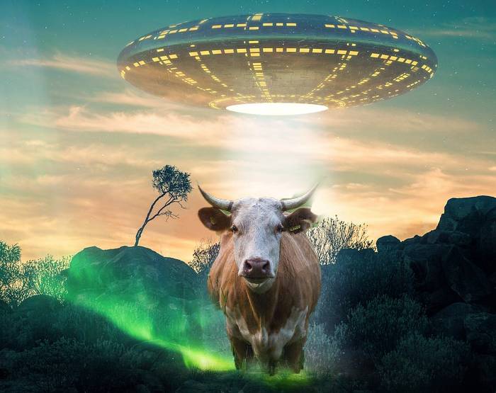 UFO giết chết gia súc và bắt cóc chủ trang trại