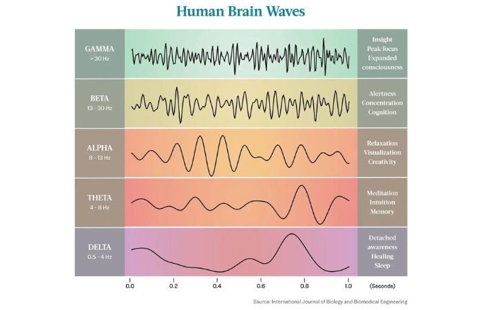 Giấc ngủ sâu 'Sóng chậm': Chìa khóa để tối đa hóa trí nhớ và sức khỏe não bộ