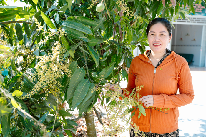 Dành cả thanh xuân; Dành cả thanh xuân gửi trao; Dành cả thanh xuân để
