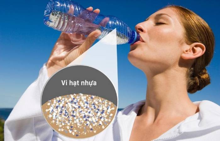 Vi nhựa; hạt nhựa; nano vi nhựa