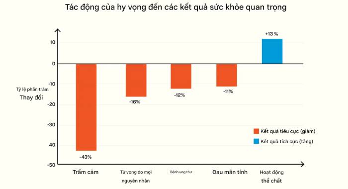 ước vọng; kỳ vọng; mong muốn