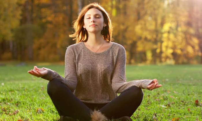 đại não; cấu trúc não bộ; sọ não người