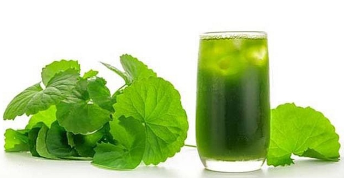 9 vị thuốc giải độc cực tốt có ở ngay quanh nhà bạn