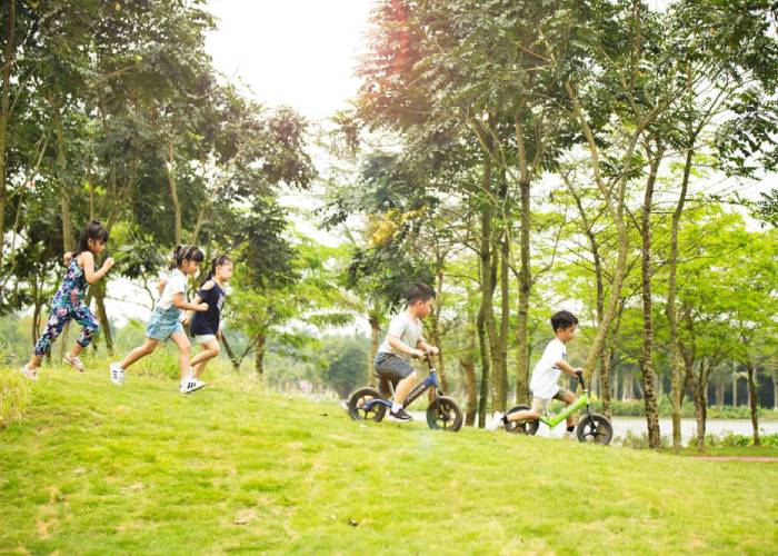 môi trường xanh; công viên xanh;thế giới xanh