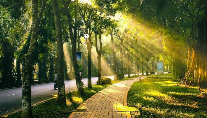 môi trường xanh; công viên xanh;thế giới xanh