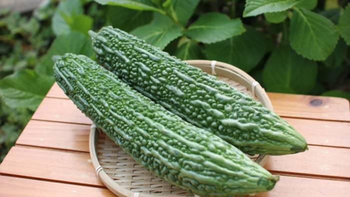 y học cổ truyền; đông y; y học cổ xưa