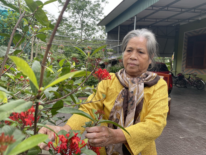 Thấy sự kỳ diệu của 9 chữ chân ngôn, bà lão bước vào tu luyện Đại Pháp