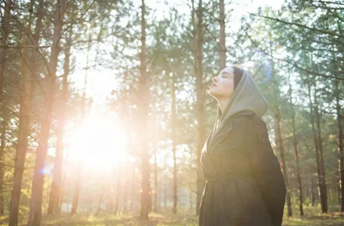 “Tắm rừng”: Liệu pháp dưỡng sinh từ thiên nhiên