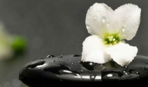 Cho những ai có tính nóng vội