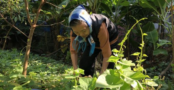 Cuộc sống của bác Phin đã thay đổi nhờ nhặt được tờ rơi về Pháp Luân Công