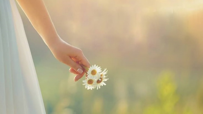 Lòng biết ơn là quy phạm căn bản để làm người