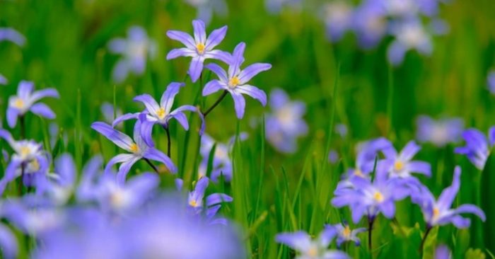 Đừng tham lợi nhỏ mà bỏ quên hạnh phúc của chính mình