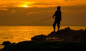 Bậc thầy câu cá trong cuộc sống và câu cá bằng dưa hấu