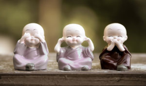 Hoa anh thảo nở nhắc chú tiểu ‘đừng khoe khoang’