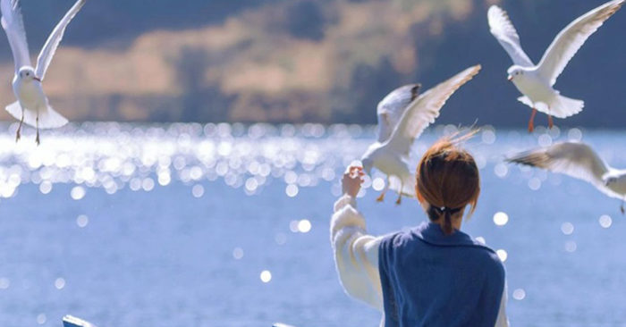 Không cần phải chứng minh!