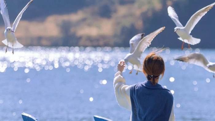 Không cần phải chứng minh!