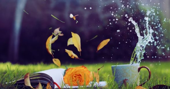 Điều quan trọng nhất trong cuộc đời