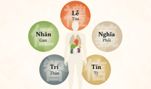 5 đức hạnh ảnh hưởng trực tiếp đến sức khỏe của bạn