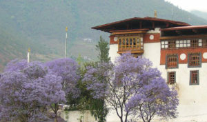 Tiểu vương Bhutan từng là một nhà sư Trung Quốc trong kiếp trước