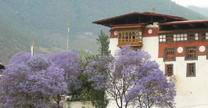 Tiểu vương Bhutan từng là một nhà sư Trung Quốc trong kiếp trước