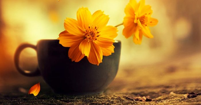 Giúp người cũng là giúp chính mình