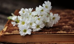 Thơ: Chuyện người đi học