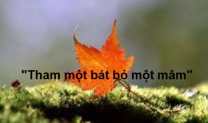 Câu chuyện: “Tham một bát bỏ một mâm”