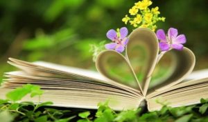 Khác biệt về cảnh giới