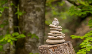 Câu nói “sự kiên nhẫn dành cho những người thua cuộc” – đúng hay sai?