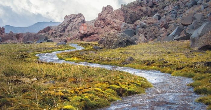 Khôn lanh quá mức lại thành tự hại mình