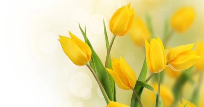 Người ta thất bại là bởi không thể kiên trì đến cùng