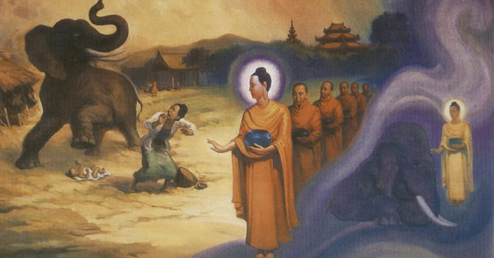 Đức Phật nói nhân quả: Gấu cứu người lại bị lấy oán báo ơn