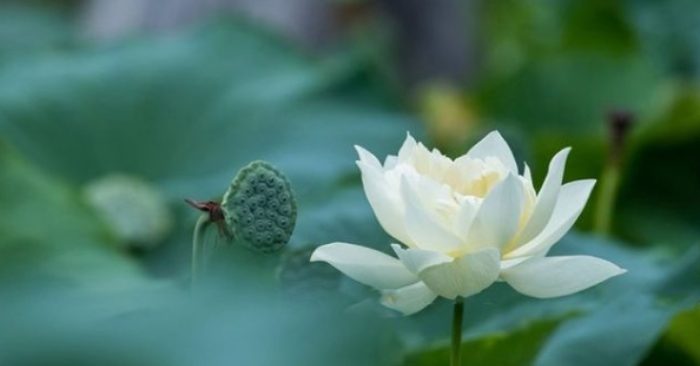 Đừng cho lòng tốt của người khác là điều hiển nhiên