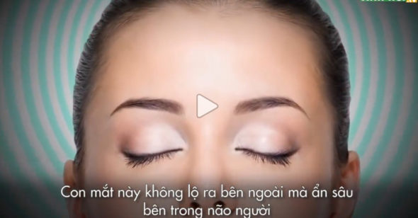 Các giải phẫu y học phương Tây hiện đại phát hiện rằng vị trí của thể tùng quả trùng khớp với vị trí của thiên nhãn (tức con mắt thứ ba) mà những người tu luyện miêu tả. Rất nhiều học thuyết tu luyện cho rằng, tuy mọi người đều có con mắt thứ ba, nhưng mà, không phải ai cũng có thể khai mở con mắt này.