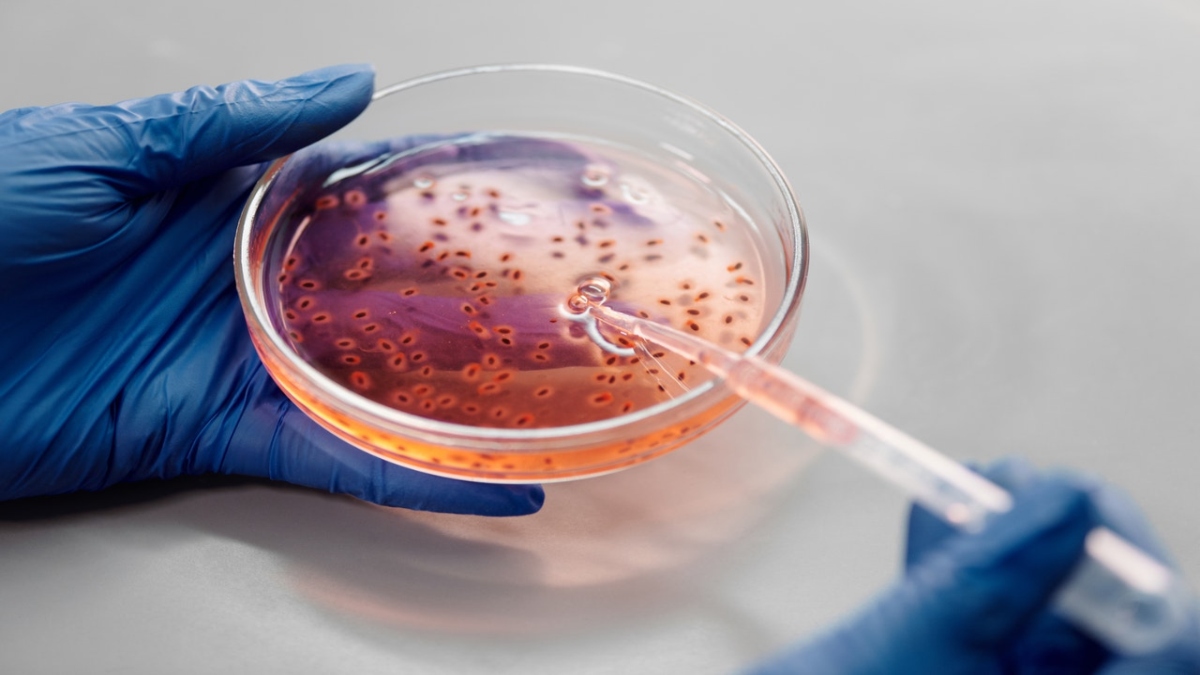 Axit ribonucleic (RNA hay ARN) là một phân tử polyme cơ bản có nhiều vai trò sinh học trong mã hóa, dịch mã, điều hòa, và biểu hiện của gene. RNA và DNA là các axit nucleic, và, cùng với lipid, protein và cacbohydrat, tạo thành bốn loại đại phân tử cơ sở cho mọi dạng sự sống trên Trái Đất. Giống như DNA, RNA tạo thành từ một chuỗi nucleotide, nhưng không giống DNA là thường tìm thấy nó ở dạng tự nhiên là một sợi đơn gập lại vào chính nó, hơn là sợi xoắn kép. Các sinh vật tế bào sử dụng RNA thông tin (mRNA) đề truyền đạt các thông tin di truyền (sử dụng các base nitric guanine, uracil, adenine, và cytosine, ký hiệu tương ứng bằng các chữ cái G, U, A, và C) cho phép tổng hợp trực tiếp lên các protein chuyên biệt. Nhiều virus mã hóa thông tin di truyền của chúng trong bộ gene RNA.