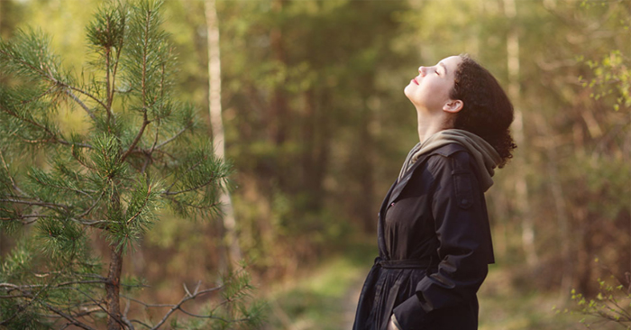 Nghiên cứu: Nghe tiếng chim hót giữa thiên nhiên giúp bạn hạnh phúc hơn