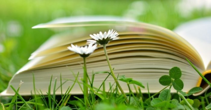 “Thiên tài là do 1% thiên bẩm, 99% là nhờ nỗ lực”